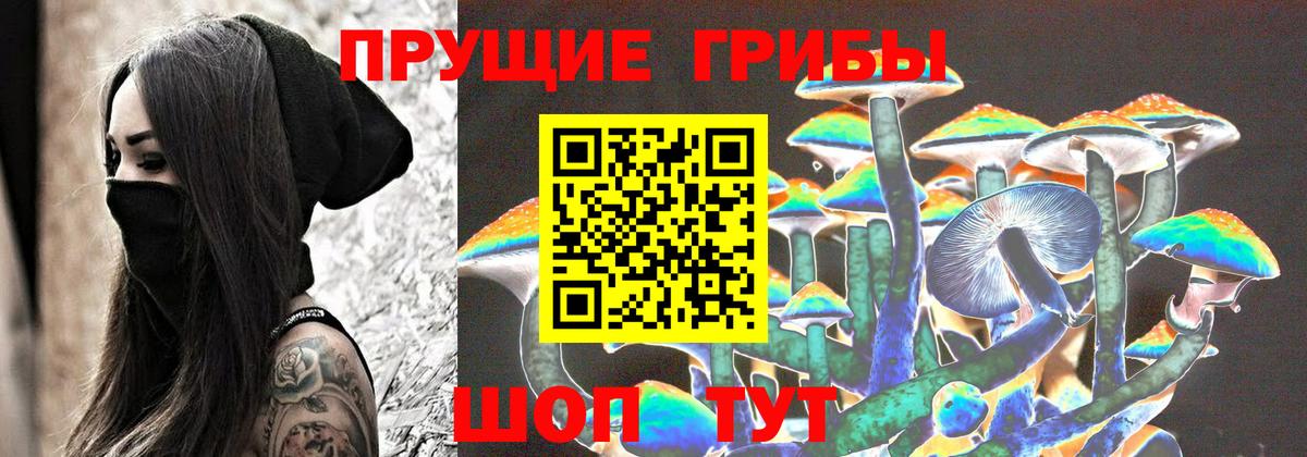 Псилоцибиновые грибы Cubensis  Вход с VPN  Котовск 