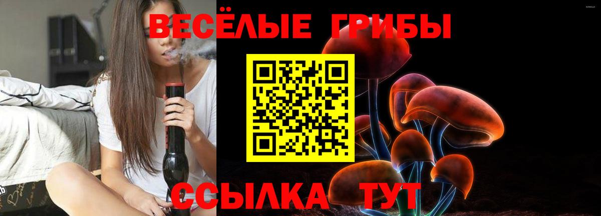 Галлюциногенные грибы MAGIC MUSHROOMS Котовск